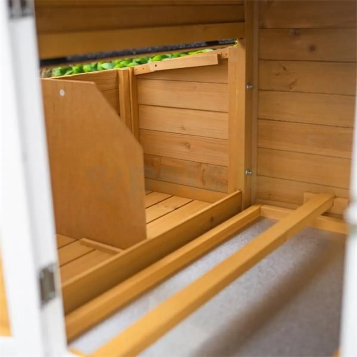 Chicken Coop - Image 4