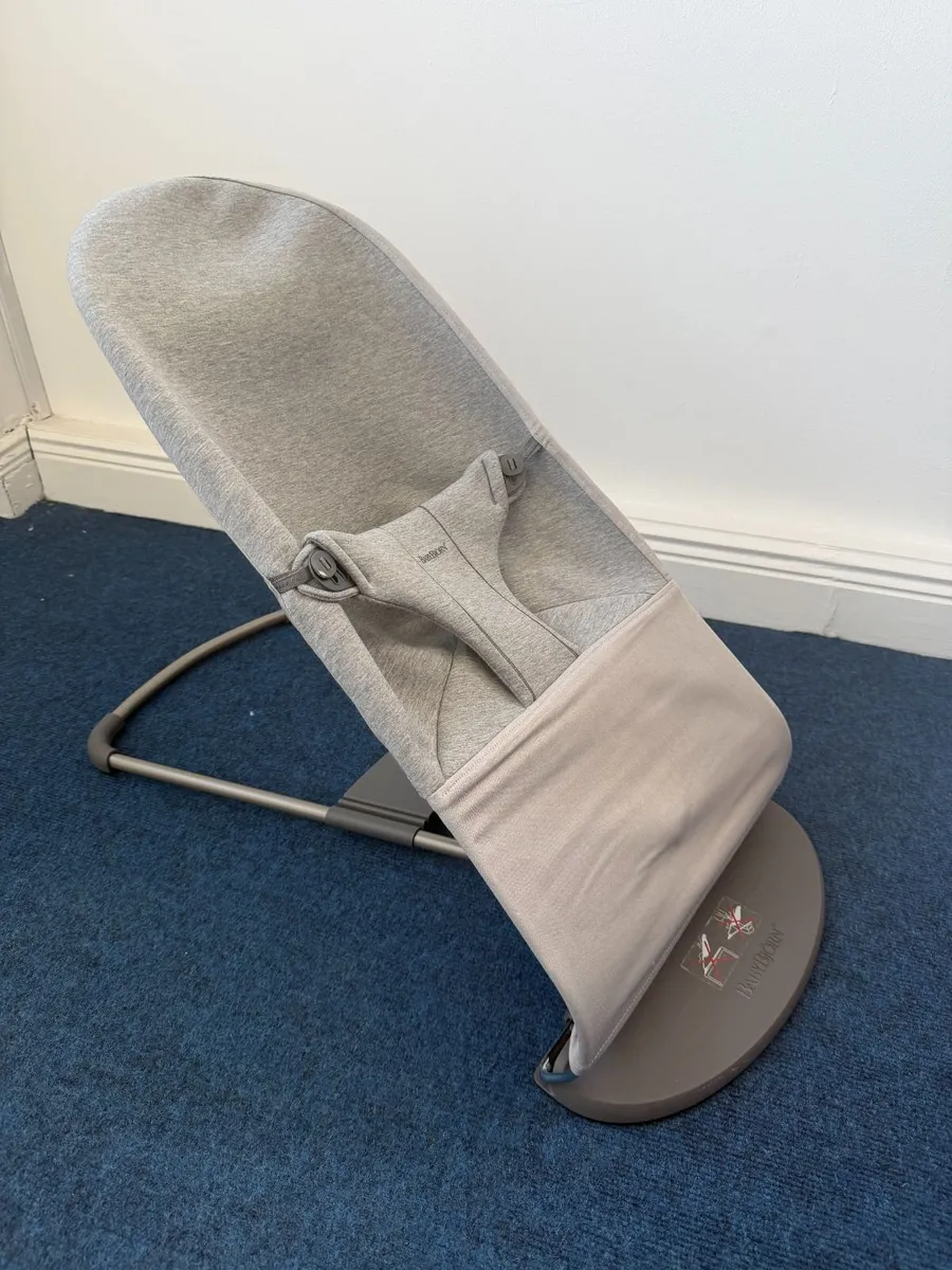 BabyBjorn Bouncer - Image 1