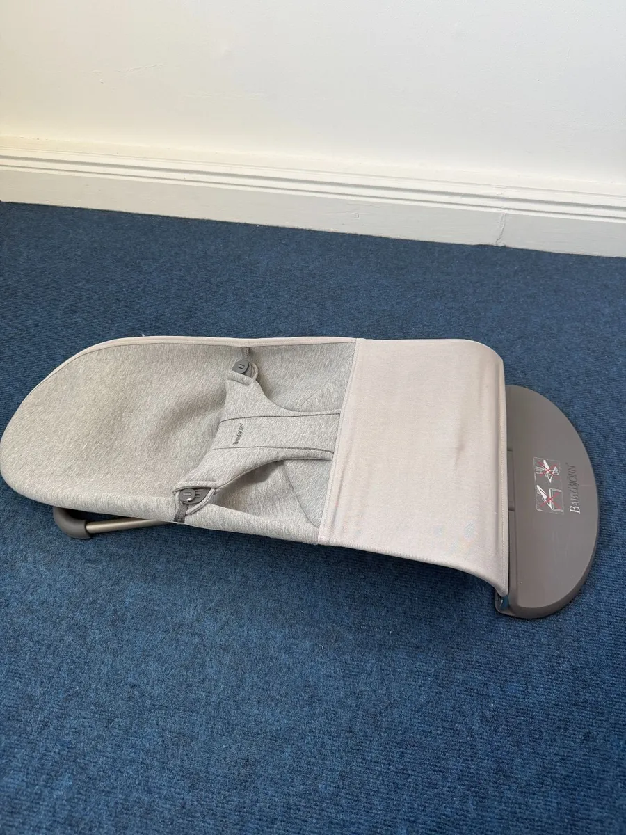BabyBjorn Bouncer - Image 2