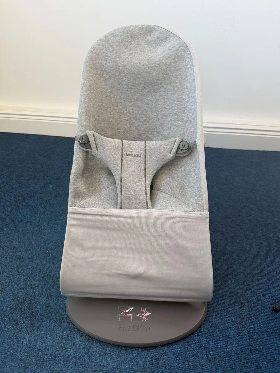 BabyBjorn Bouncer - Image 3