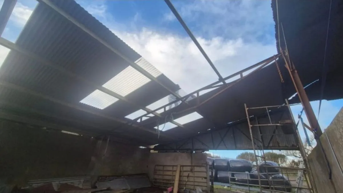 Farm Shed Repairs - Image 2