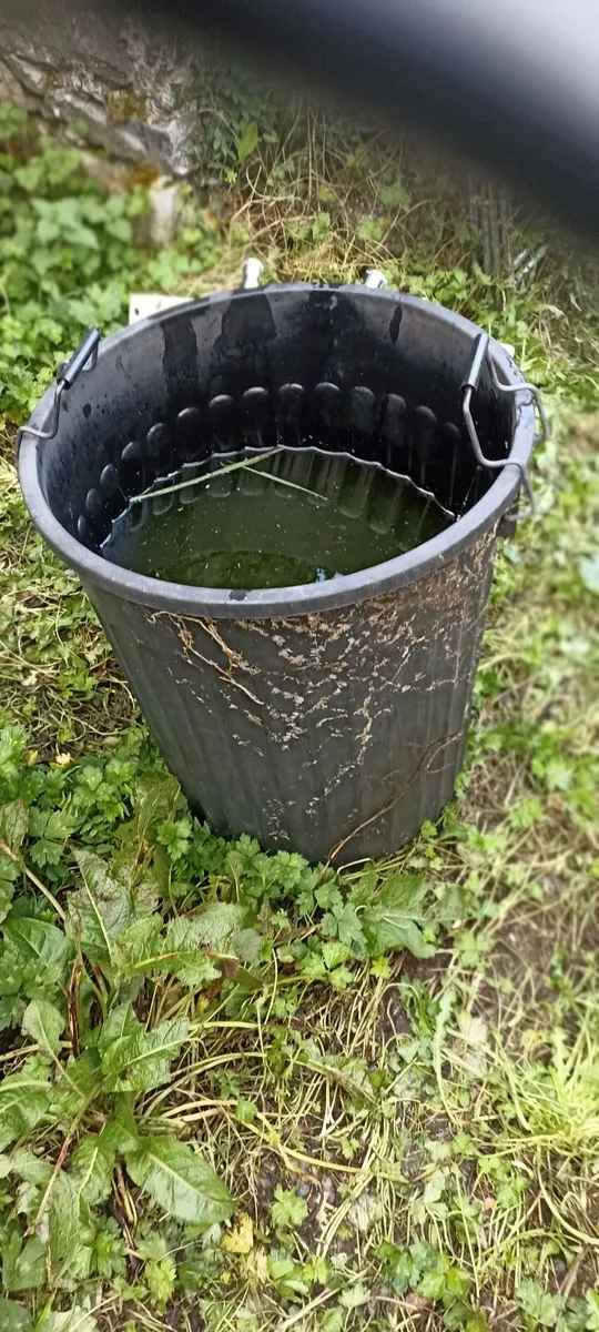 Galvanised Bin & Plastic Bin - Image 1