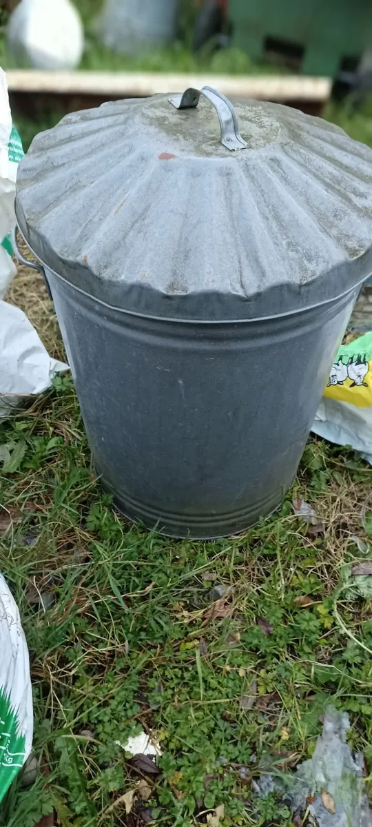 Galvanised Bin & Plastic Bin - Image 2