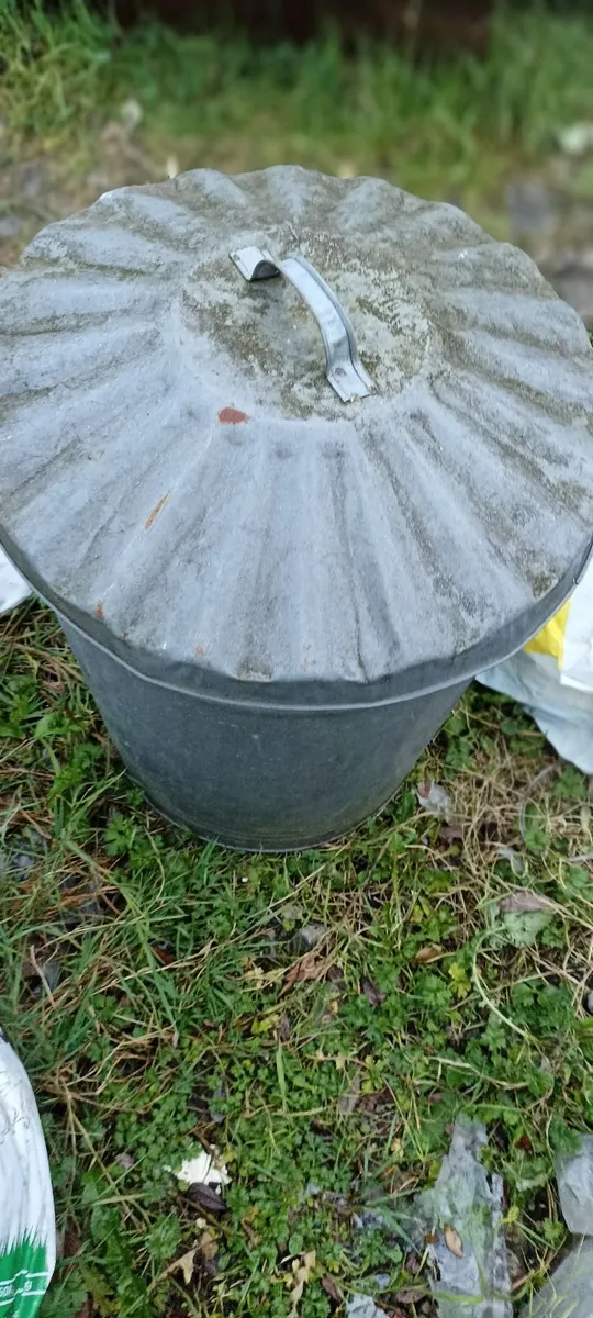 Galvanised Bin & Plastic Bin - Image 3