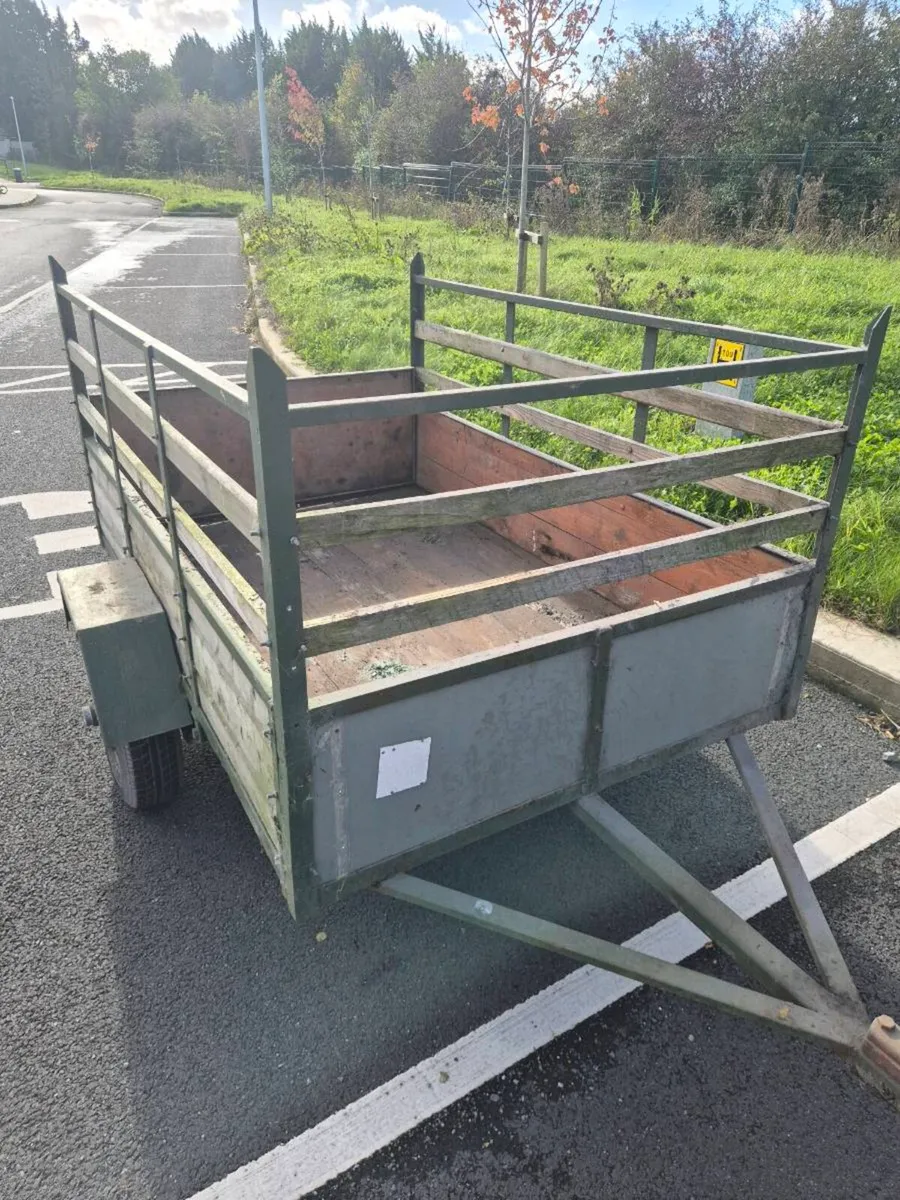 Cat trailer - Image 1