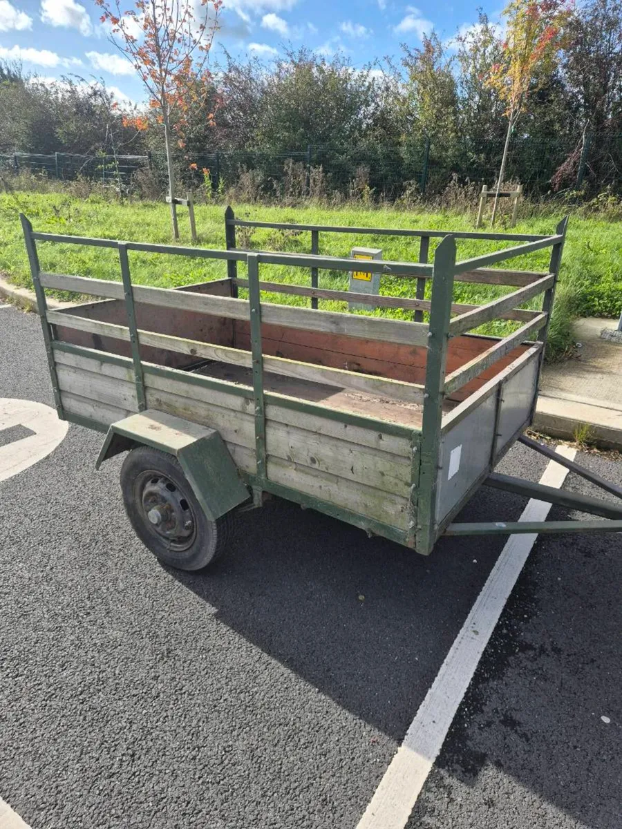 Cat trailer - Image 2