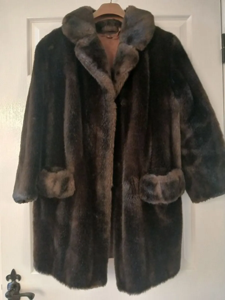 Fur Coat - Image 1