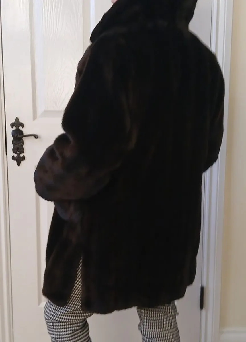 Fur Coat - Image 3