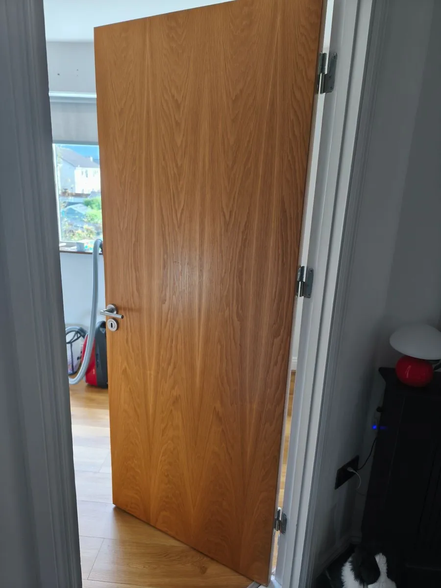 Internal Doors - Image 1