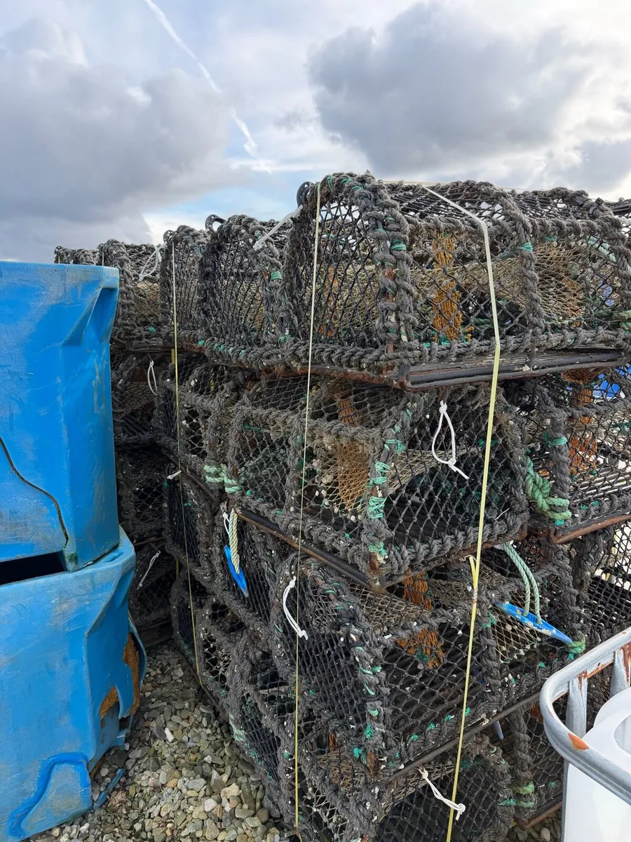 24” crab pots - Image 1