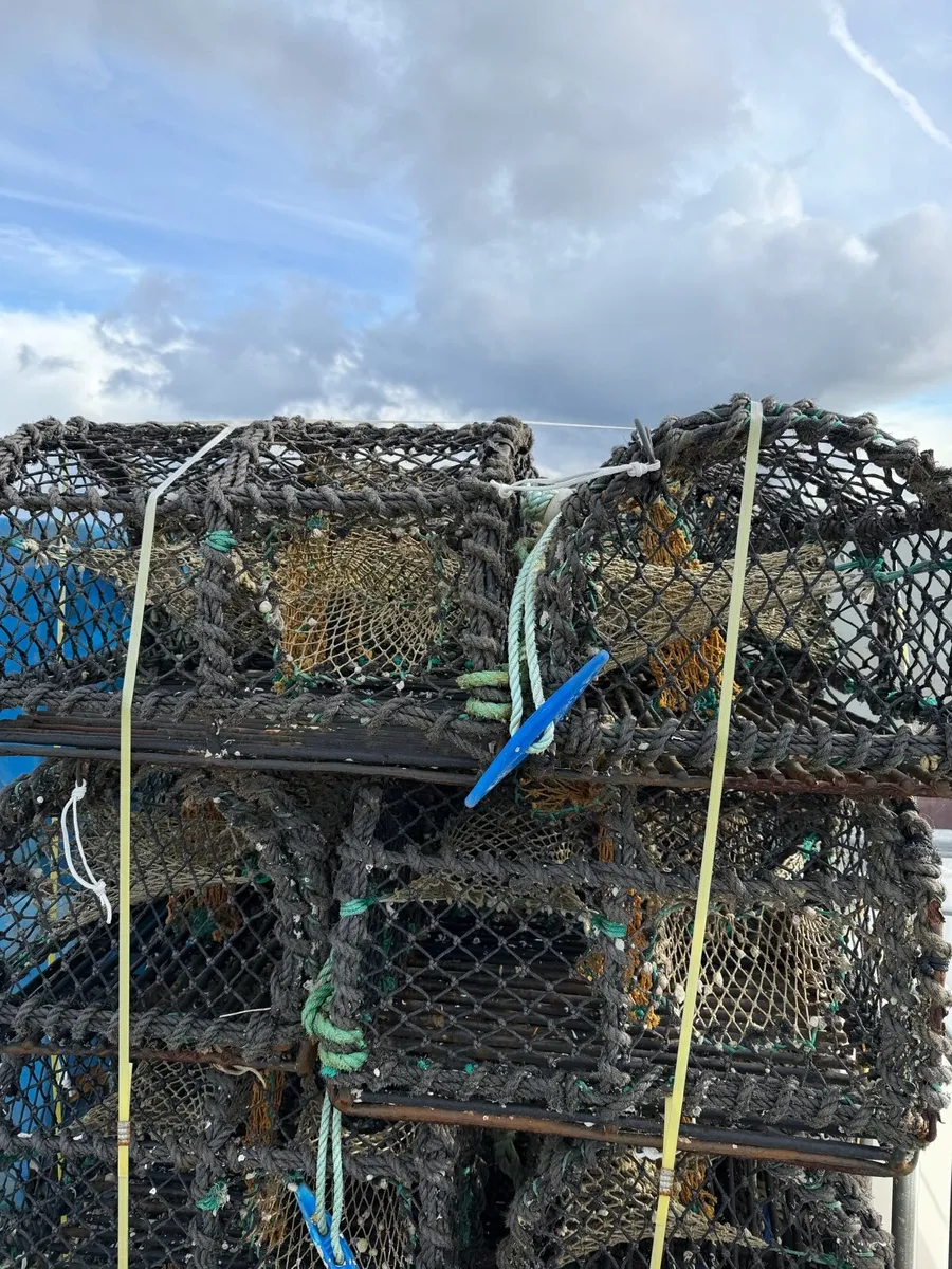 24” crab pots - Image 2