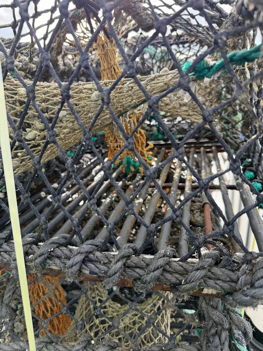 24” crab pots - Image 3