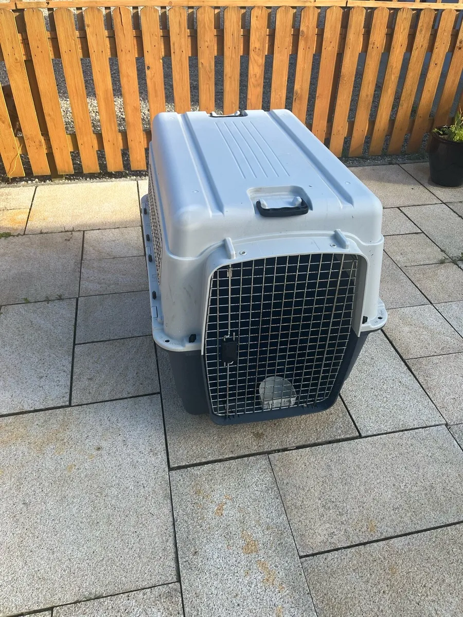 Dog Box, Travel Box - Image 1