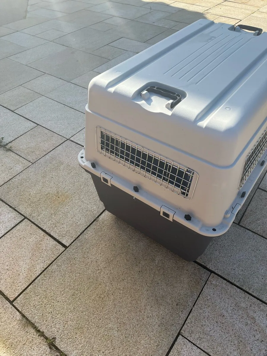 Dog Box, Travel Box - Image 2