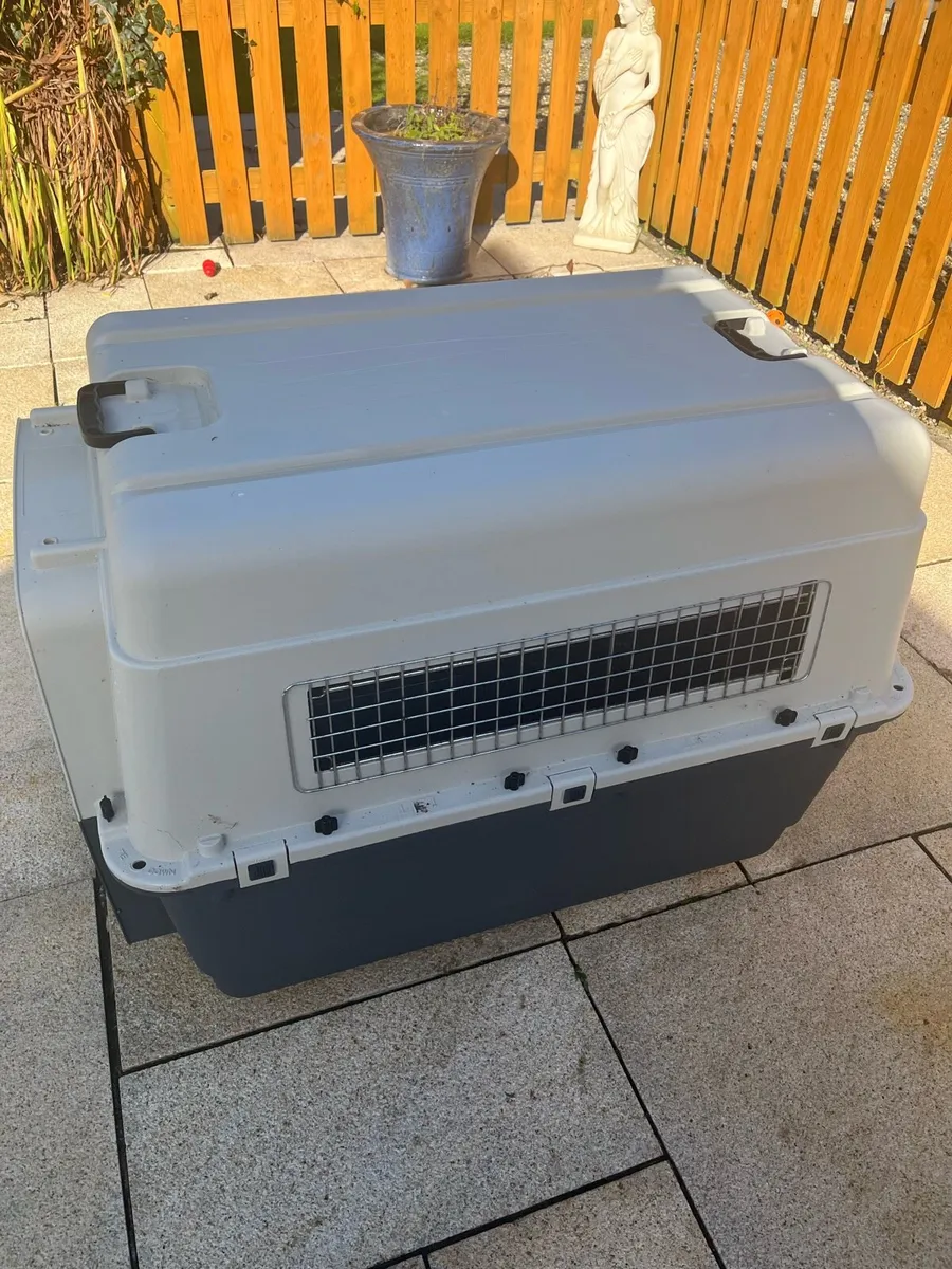 Dog Box, Travel Box - Image 3