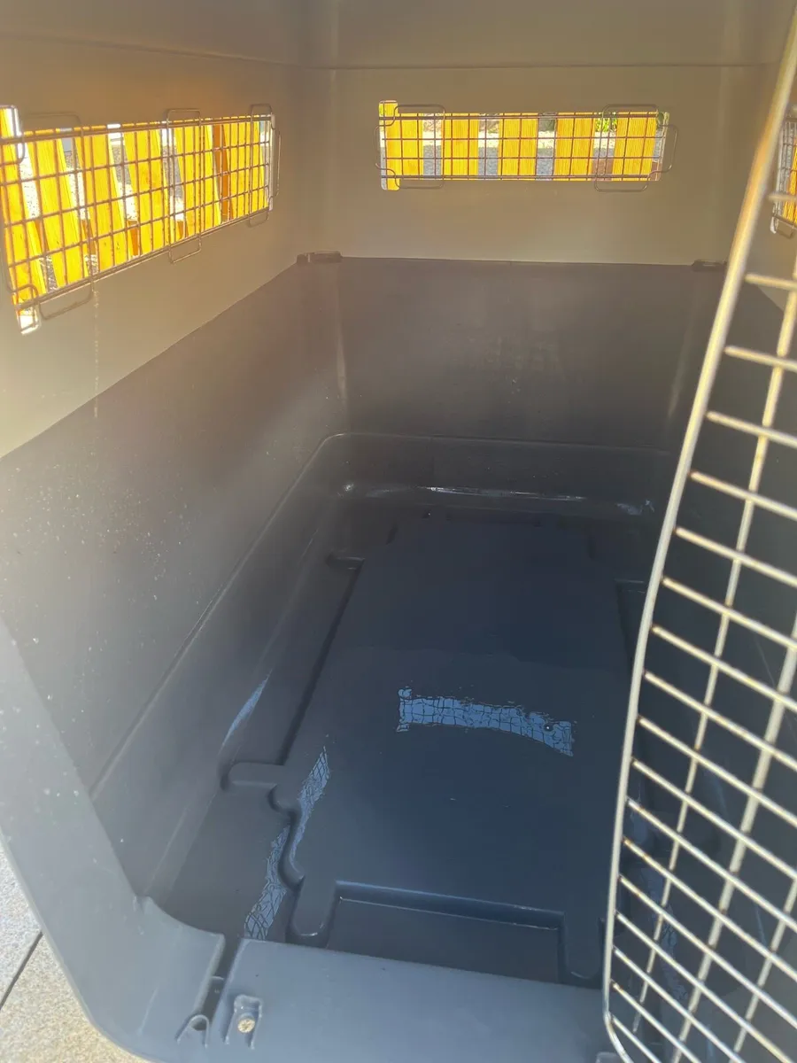 Dog Box, Travel Box - Image 4