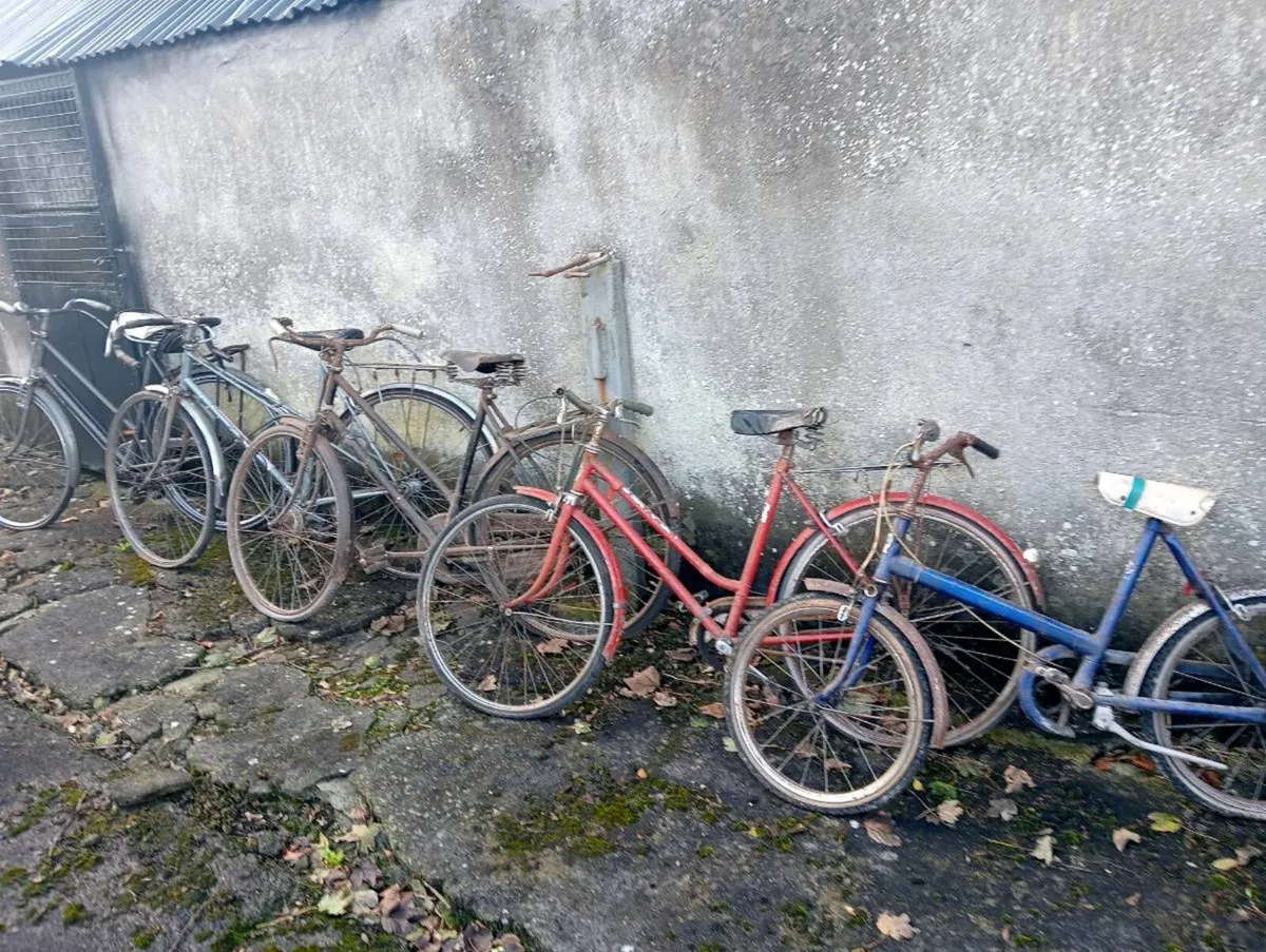 Vintage bicycle - Image 1