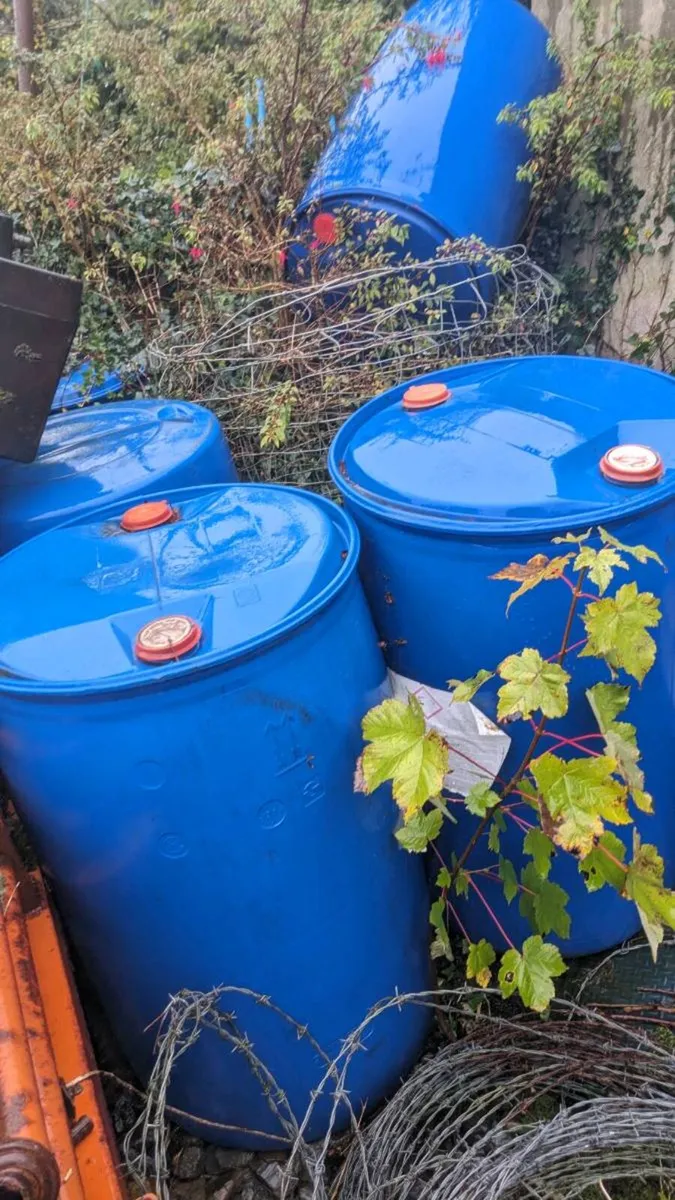Blue barrels - Image 2
