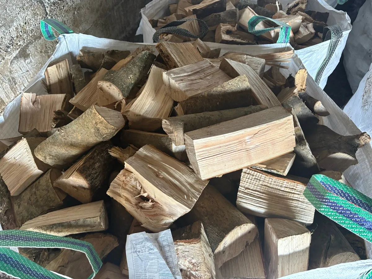 Firewood - Image 4