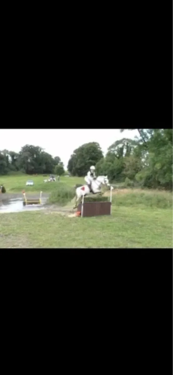 13yo schoolmaster - Image 4