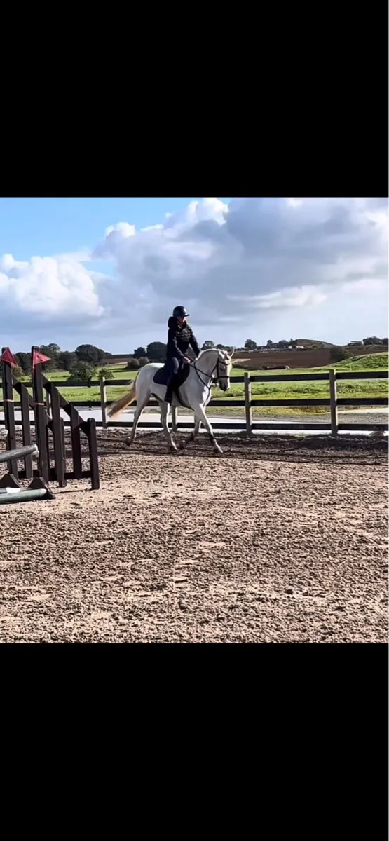 13yo schoolmaster - Image 1