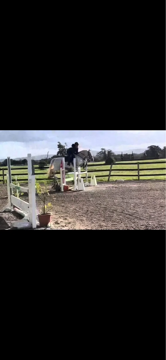 13yo schoolmaster - Image 2