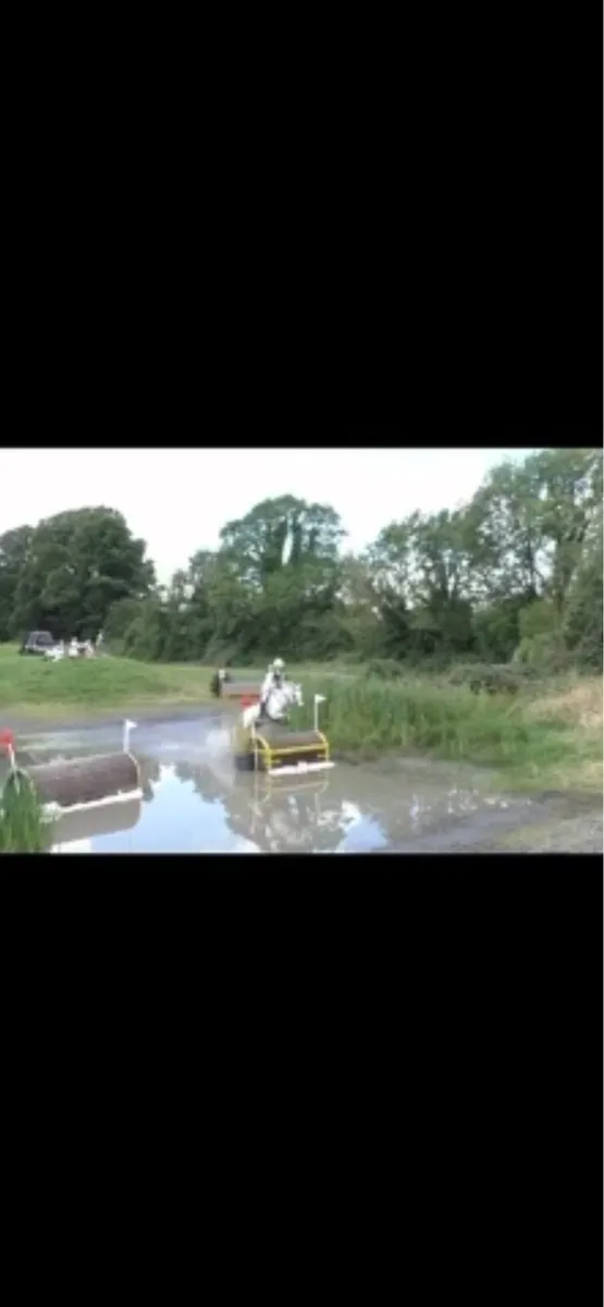 13yo schoolmaster - Image 3