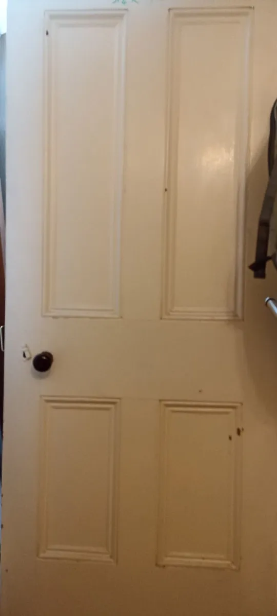 Old Painted Pine Doors - Image 3