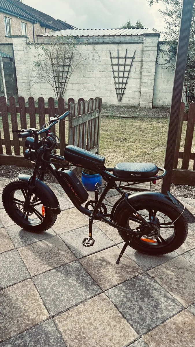 Ebike - Image 3