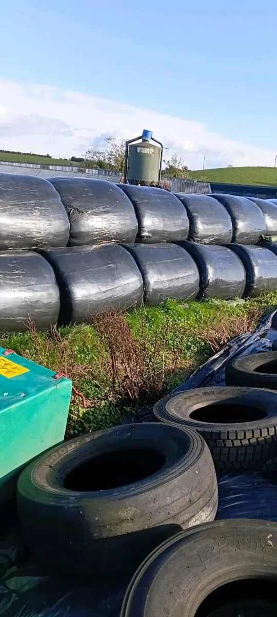 Round bale silage - Image 2