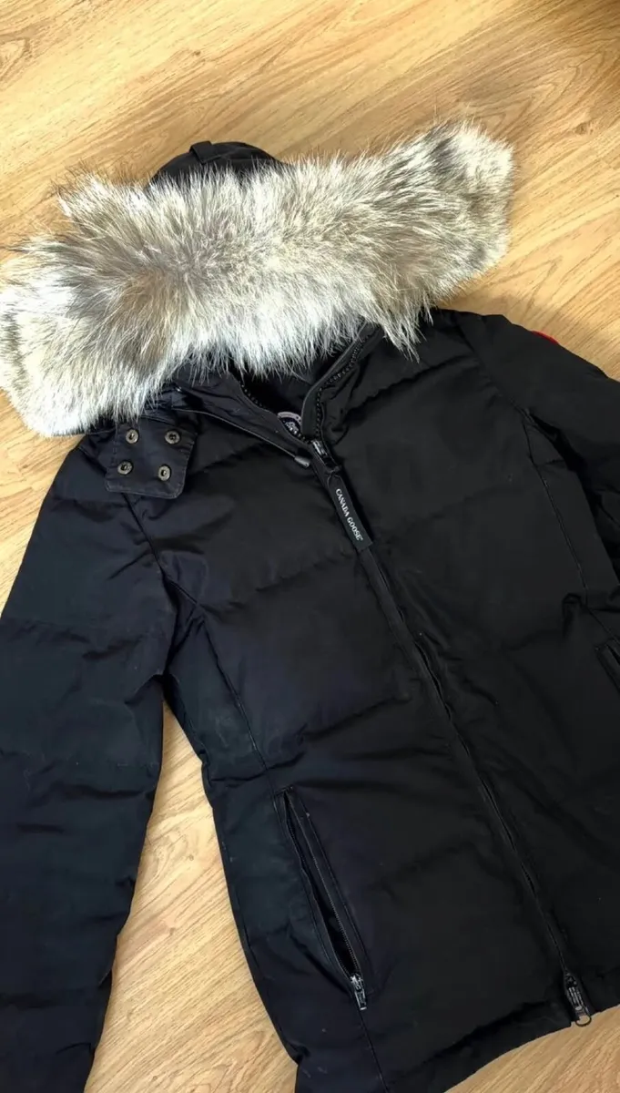 Canada Goose