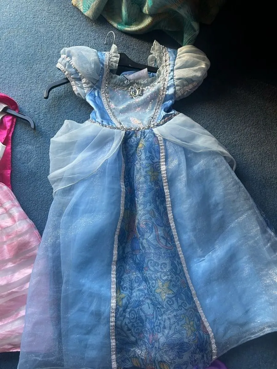 Girls fancy dress costumes - Image 1