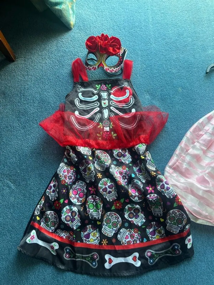 Girls fancy dress costumes - Image 2