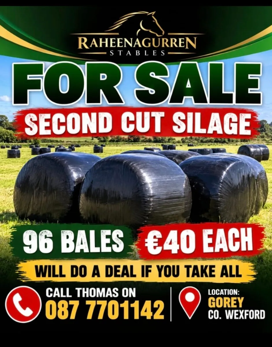 Second cut  silage