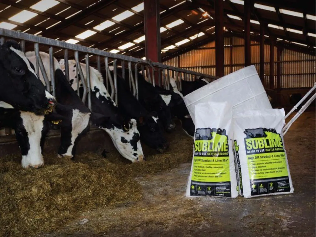Sublime animal bedding for sale at FDS - Image 3
