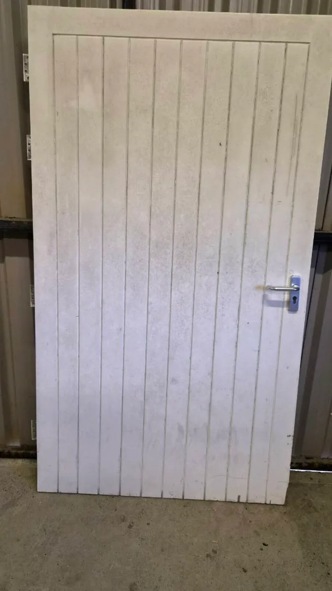 Shed door - Image 1