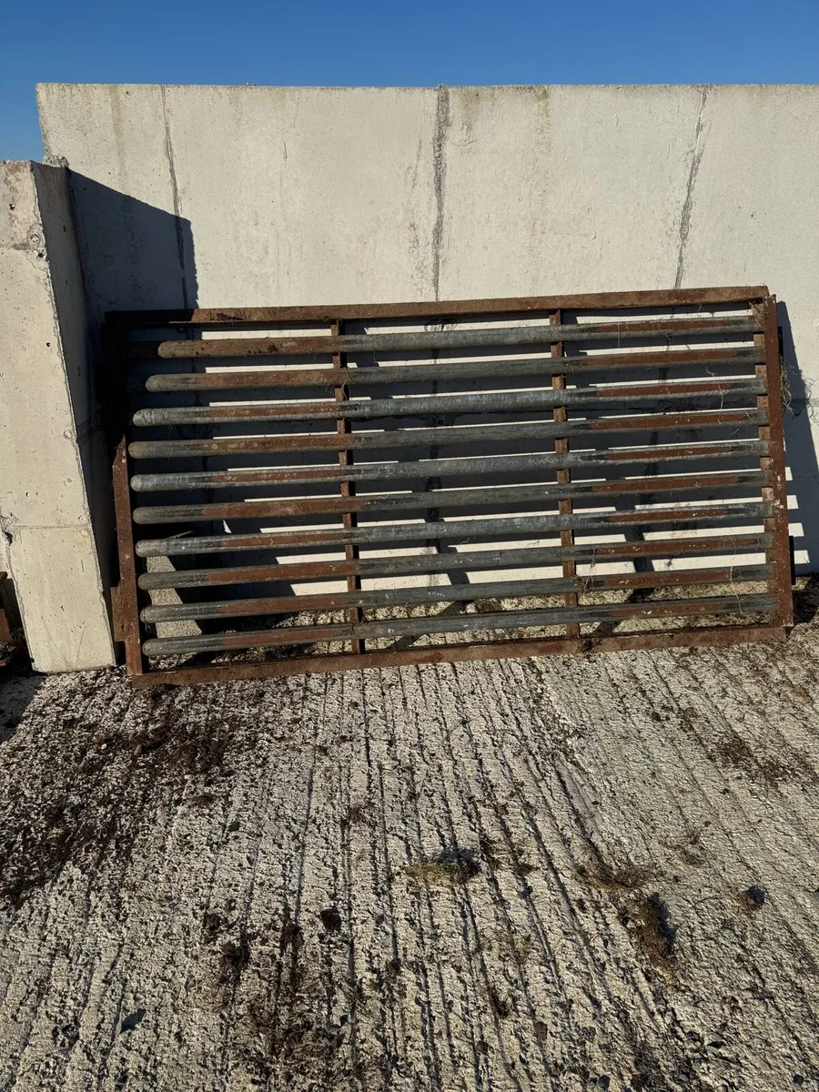 Heavy duty cattle grid - Image 1