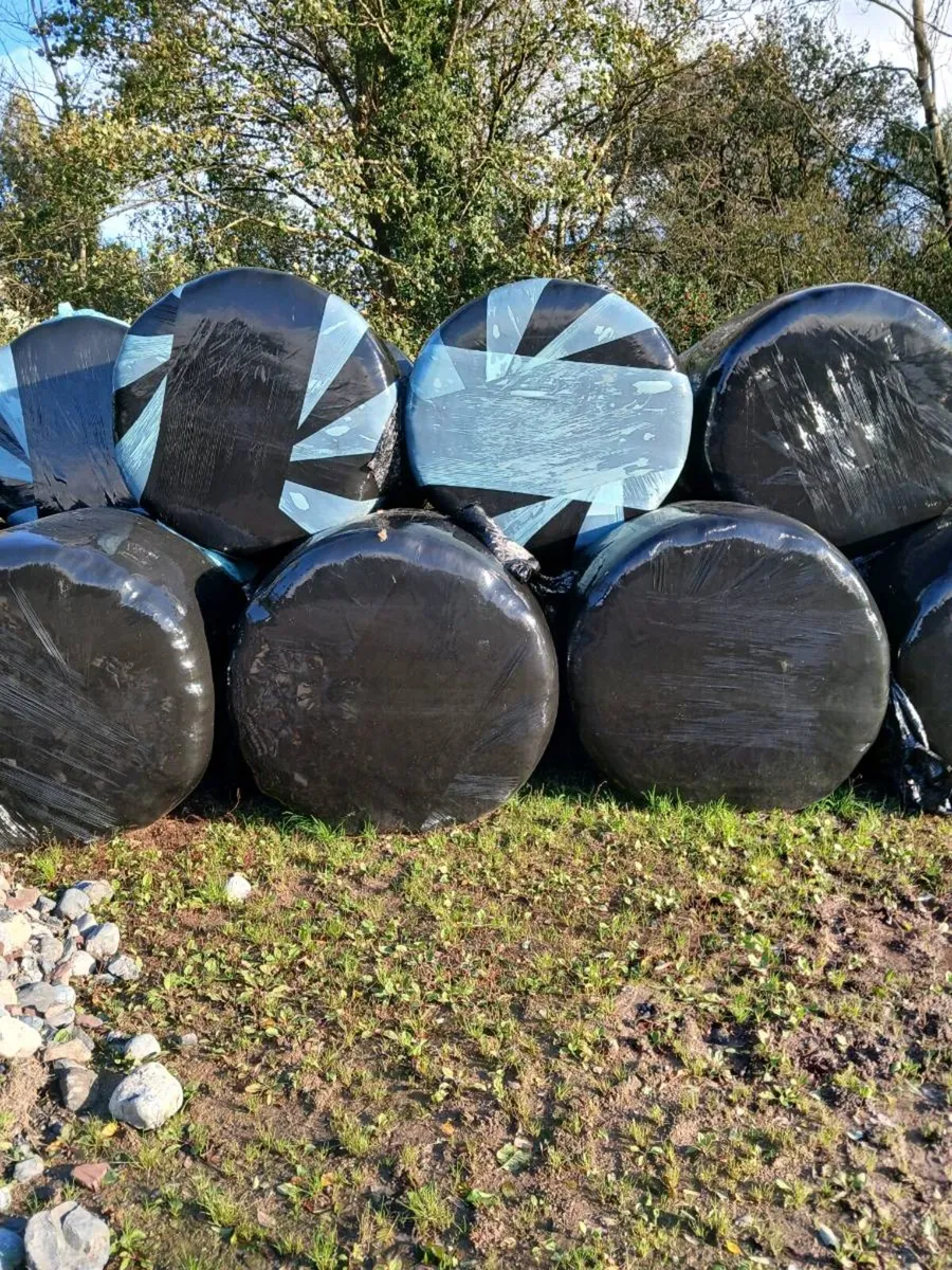Silage Bales - Image 4