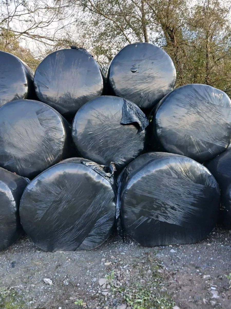 Silage Bales - Image 1