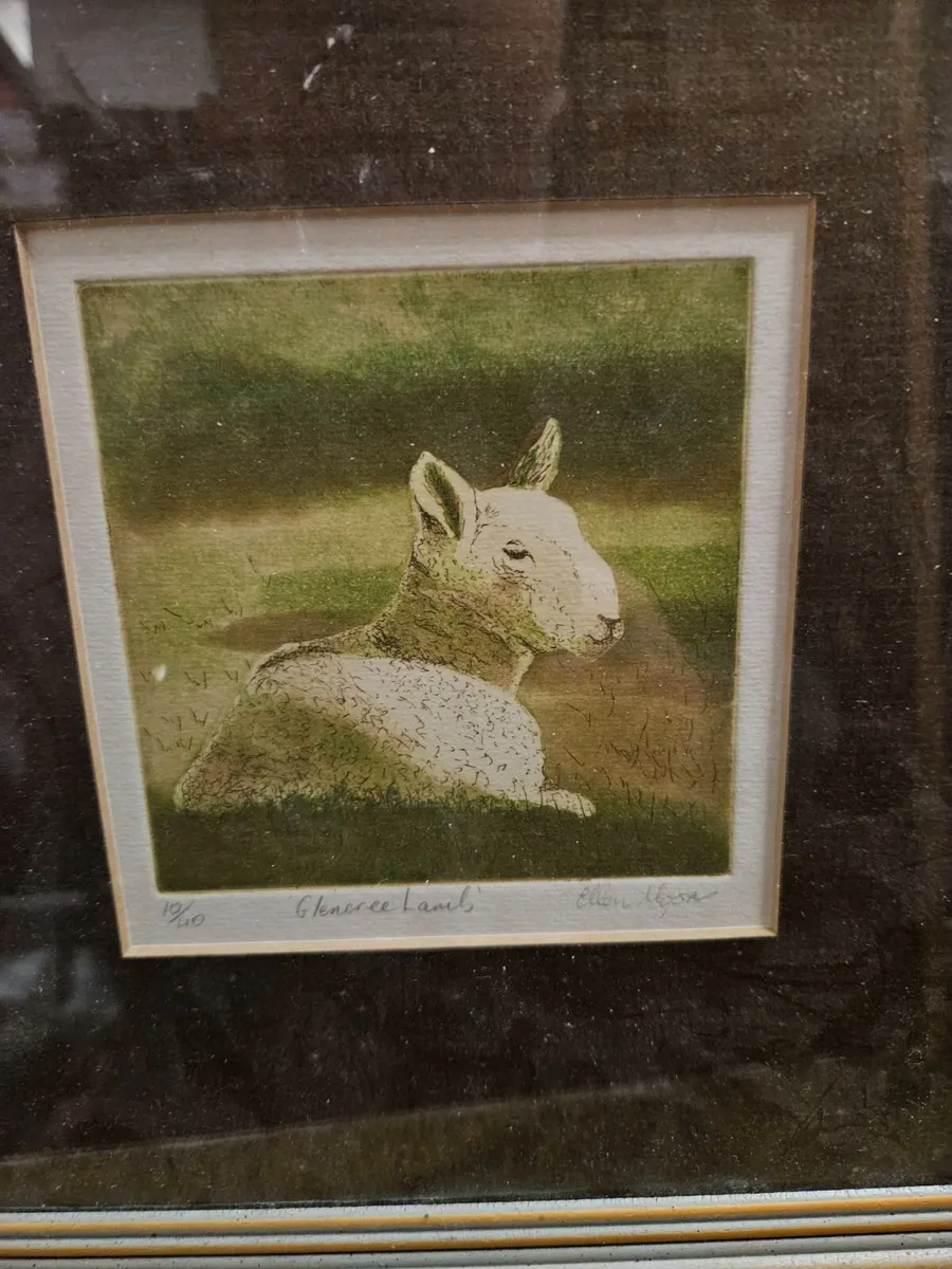 Picture Limited Edition Print Glencree Lamb - Image 2