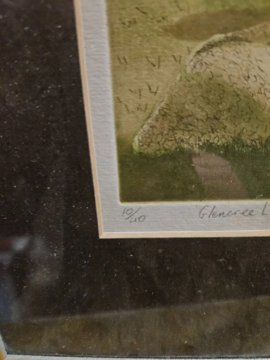 Picture Limited Edition Print Glencree Lamb - Image 3