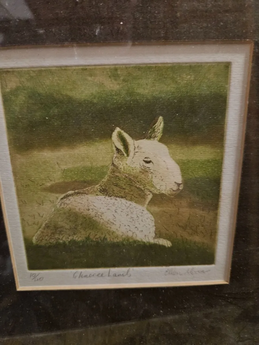 Picture Limited Edition Print Glencree Lamb - Image 4