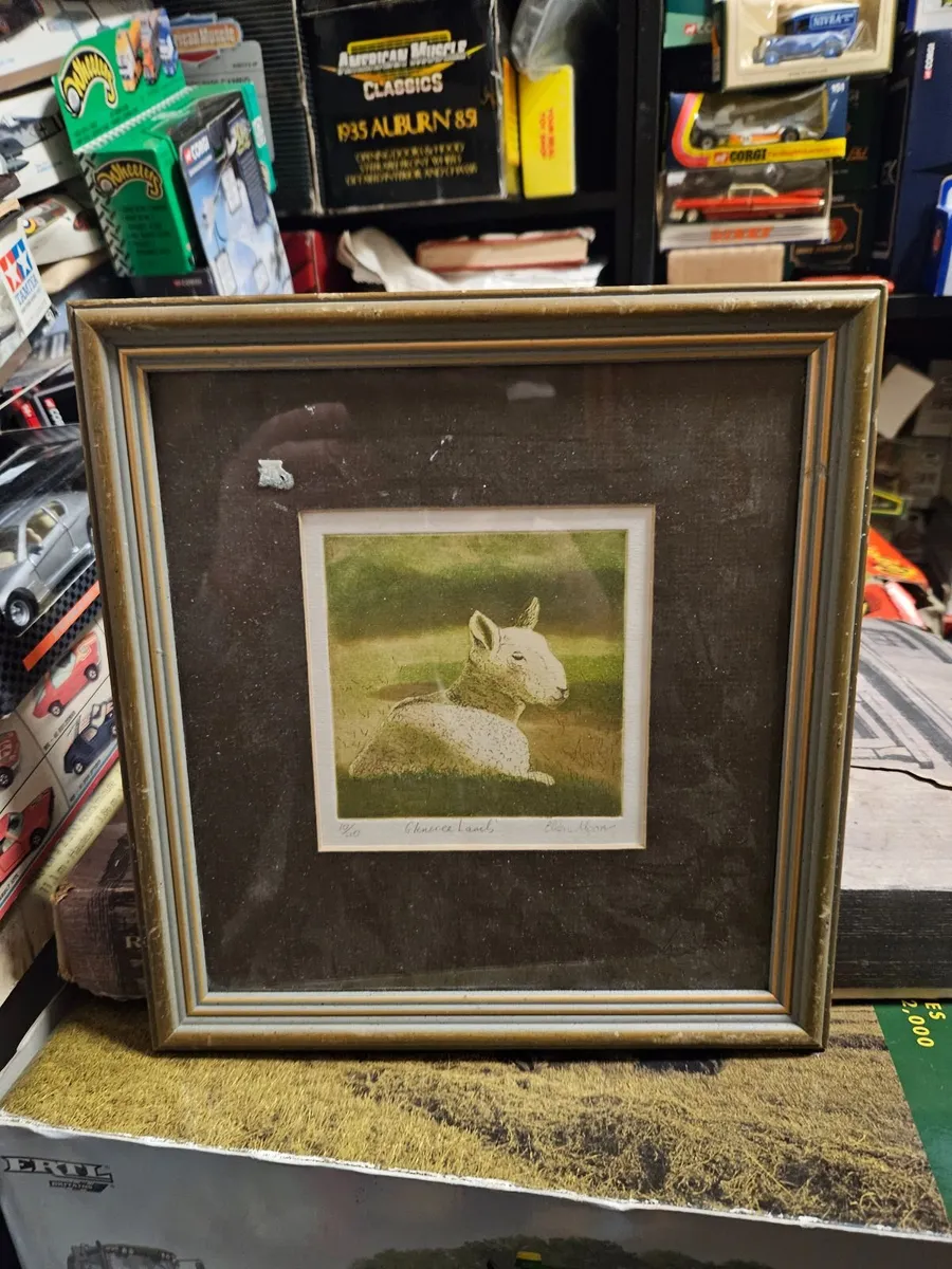 Picture Limited Edition Print Glencree Lamb - Image 1