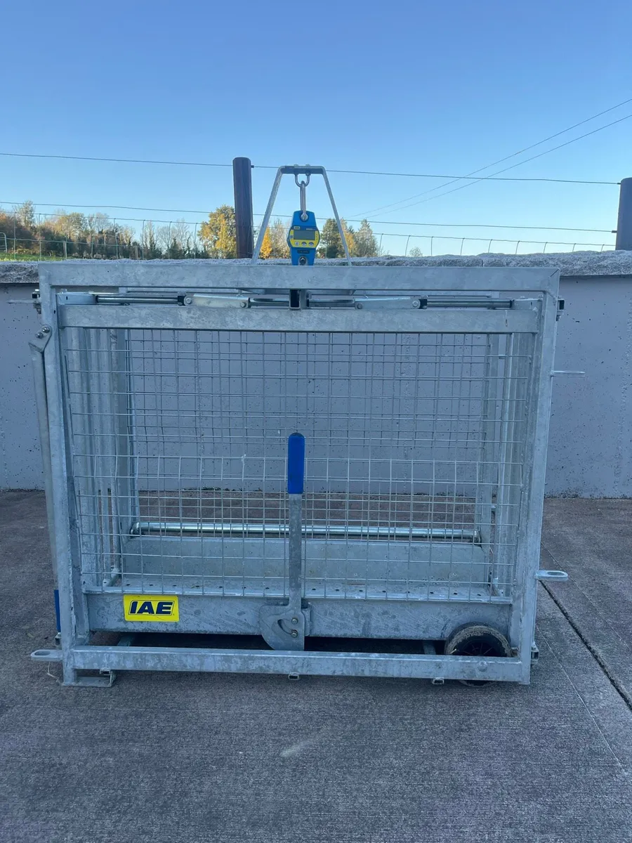 IAE lamb weighing scales - Image 1