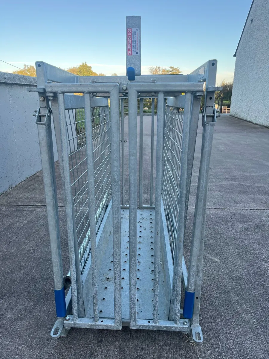 IAE lamb weighing scales - Image 3