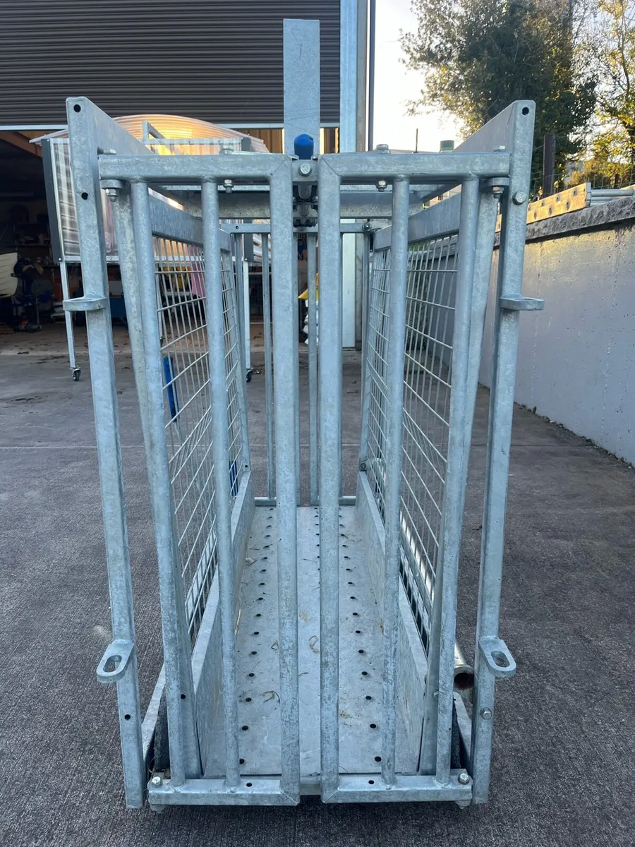 IAE lamb weighing scales - Image 4