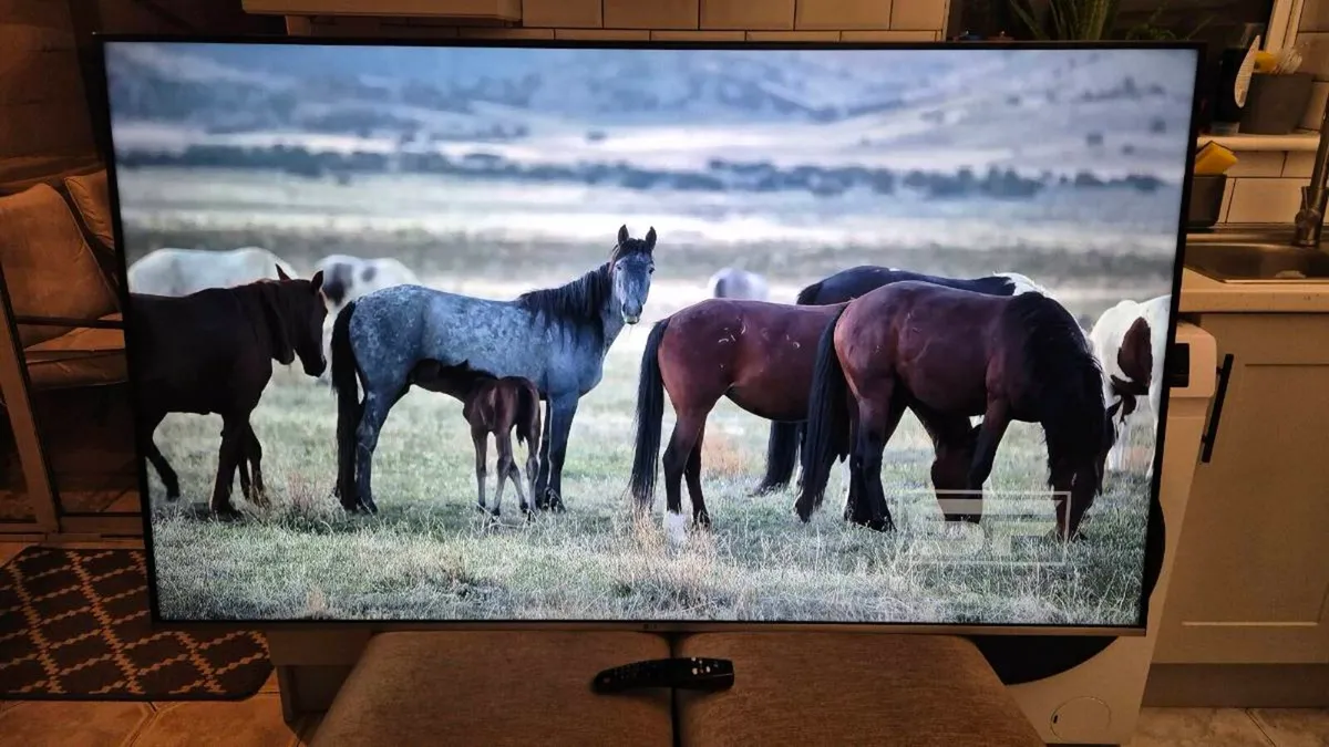 LG 65” 4K UltraHD Smart TV - Image 3