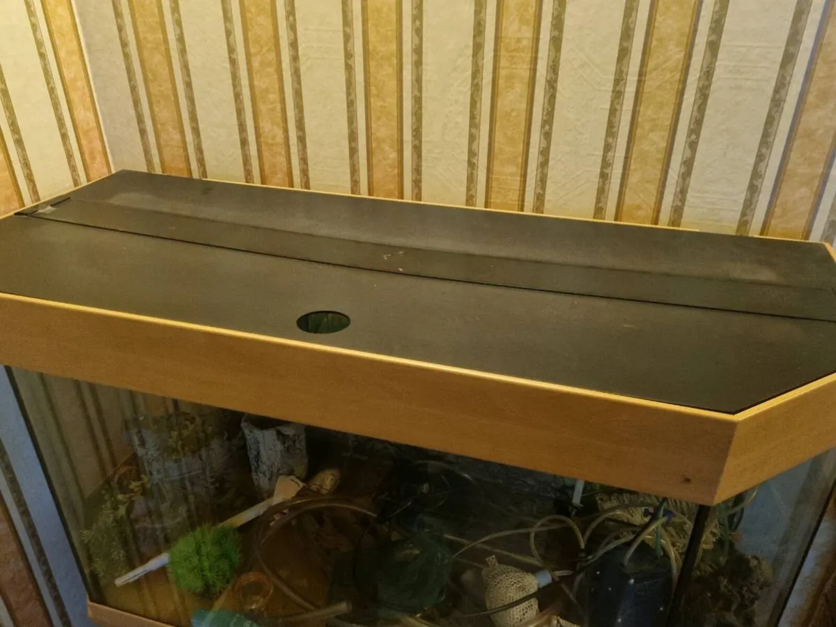 FISH TANK & STAND - Image 4
