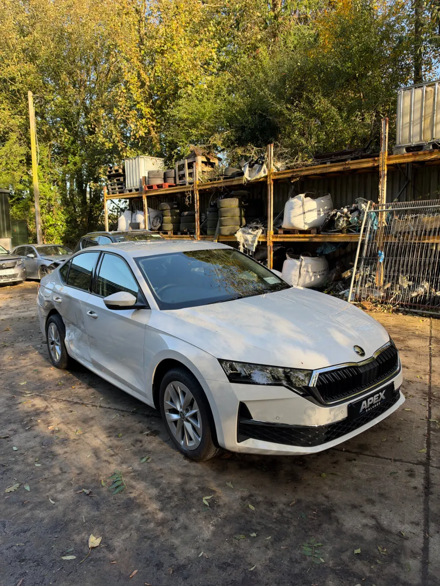 2026 Skoda Octavia Diesel - Image 3