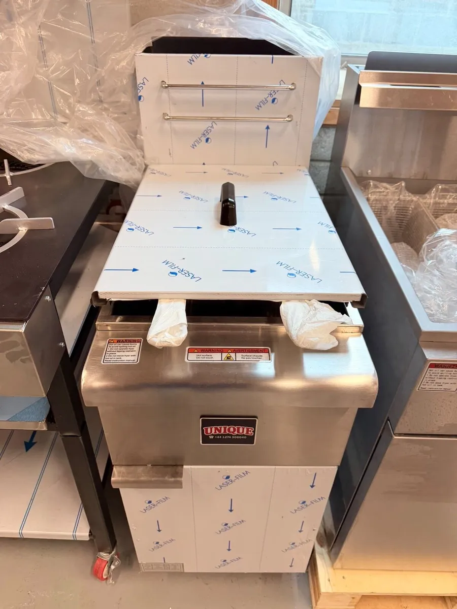 Unique Gas Fryer Stainless Steel Body - Image 2